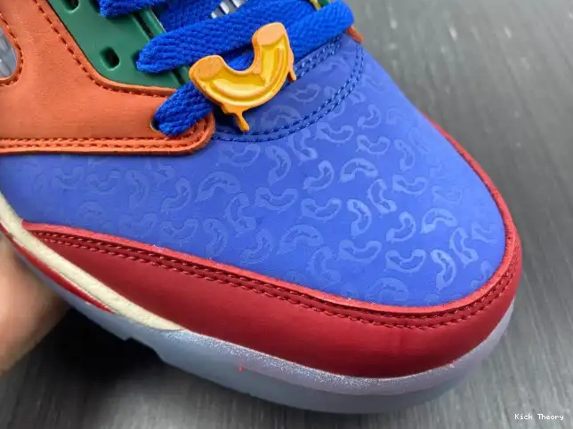 Kick Theory Air Doernbecher Jordan Low DR6287-486 5 0528